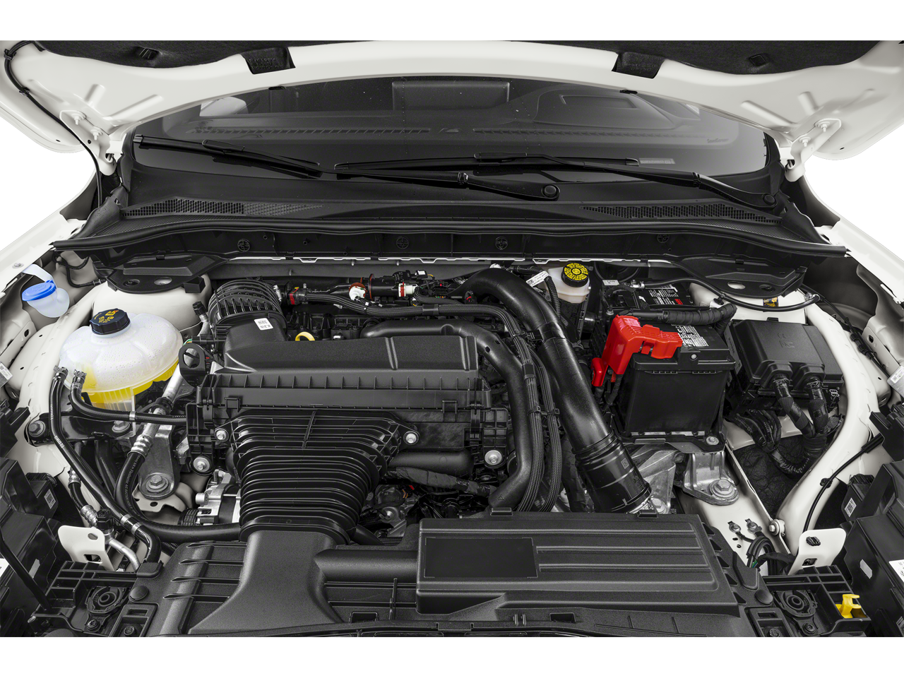 2023 Ford Escape ST-Line Elite