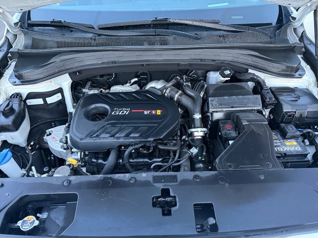 2019 Hyundai Santa Fe Ultimate 2.0T